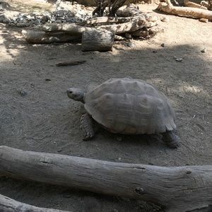 Meet your Posher, Micah